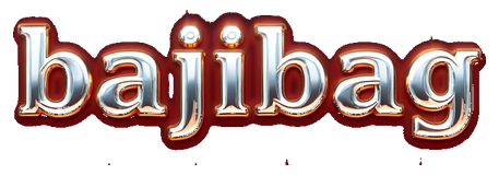bajibag logo